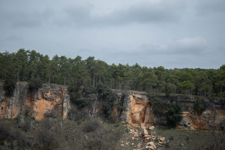Torcas y Colores 2