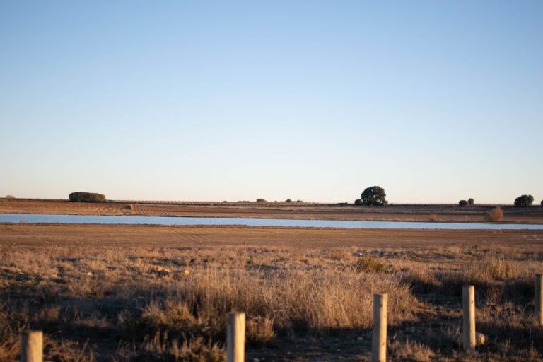 Barro y Agua Salada 5