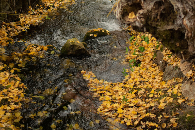 Nacimiento y Salto 3