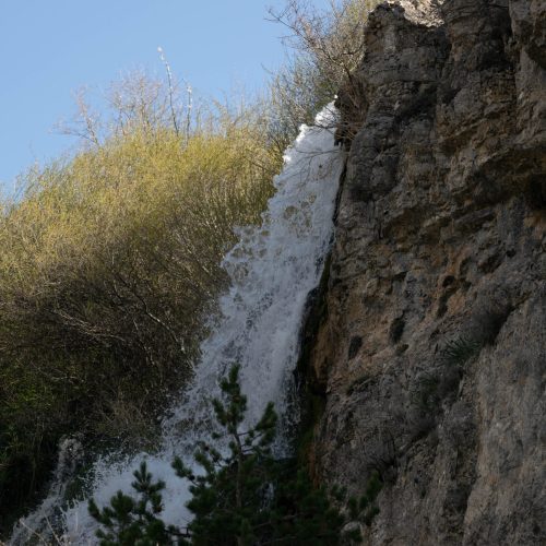Nacimiento y Salto 5